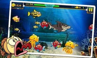 饥饿鲨2最新鲨鱼爆料,最新鲨鱼种类大曝光，海洋霸主再升级！